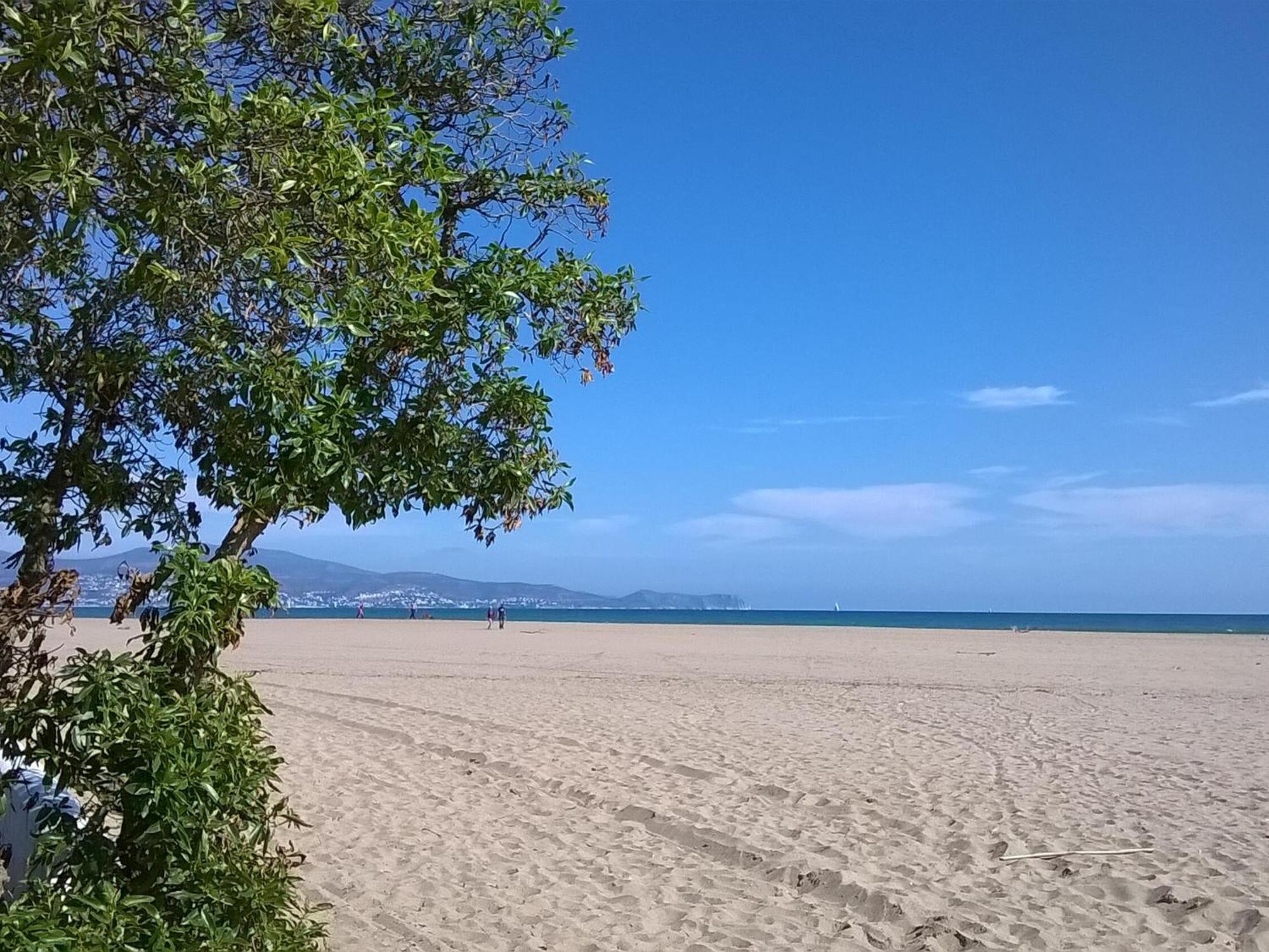 로지즈 2166 Rocmar 1 4-C, Excelente Situacion Frente Al Puerto Pesquero Y Con Vista A La Bahia. Gran Terraza. Gran Parking Publico Delante. - Es-258-30 아파트 외부 사진
